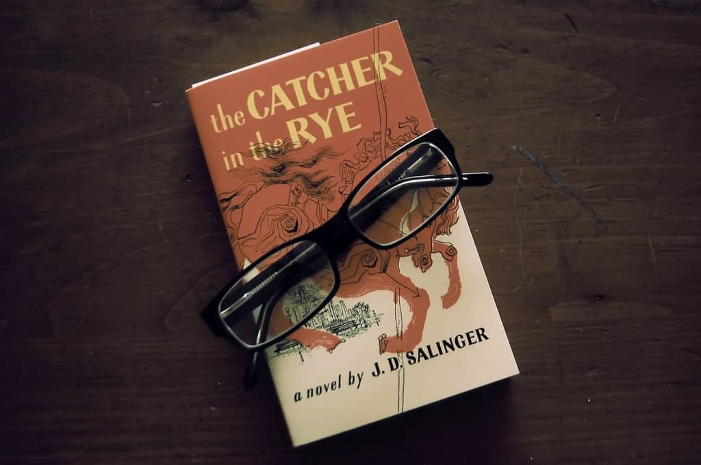 Catcher in the Rye book: book with glasses